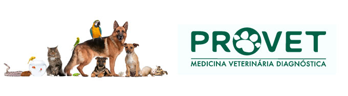 Provet Morumbi Provet Morumbi