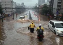 simulado de evacuação