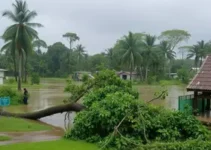 chuva de granizo