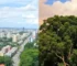 calor em Paraisópolis