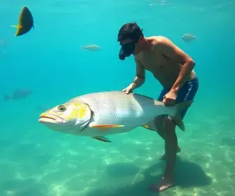 Tem Peixe na Vila